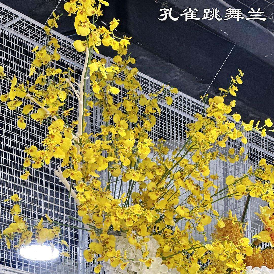 仿真跳舞兰厂家孔雀新款黄色文心婚礼家居假花布艺假花