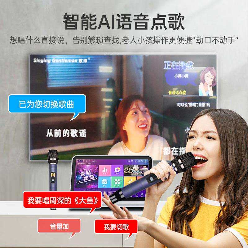 ktv音响套装家用客厅k歌卡拉ok触摸屏点歌一体机无线大功率音箱