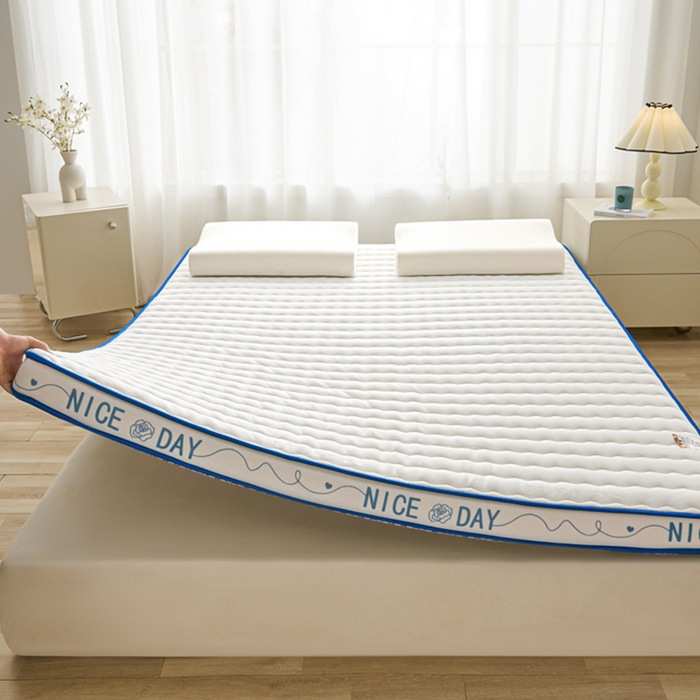 定制2025新款热卖亲肤透气乳胶记忆海绵立体床垫保护垫舒适床垫