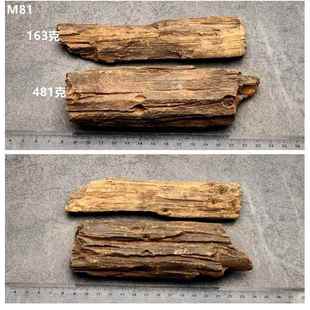 高档黑龙江木化石冰河时天期树玉化硅化然木原石摆件奇石观赏石标