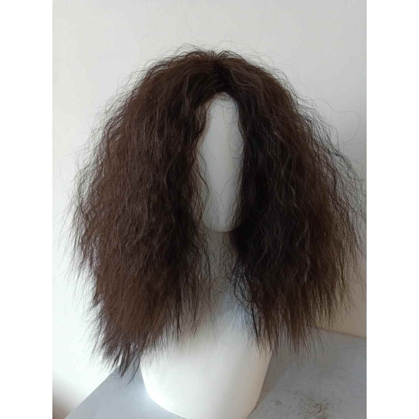 高档乞花假发卷发玉米烫舞台演出男士女士表演叫长子疯子整顶假发