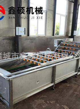 厂家蔬菜清洗流水线 酱菜海带脱盐清洗设备 全自动果蔬气泡清洗机