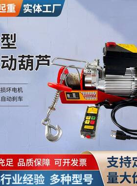 跨境电动葫芦220v线遥控便携式小型起重机pa200kg微型电动葫芦