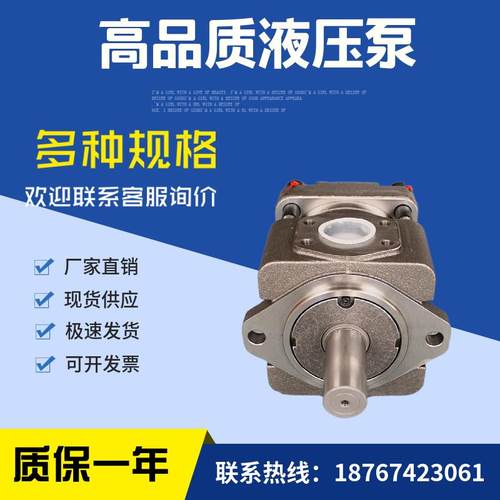 Sumitomo齿轮泵注塑机油泵QT62-80/100/125F-BP-Z住友液压泵