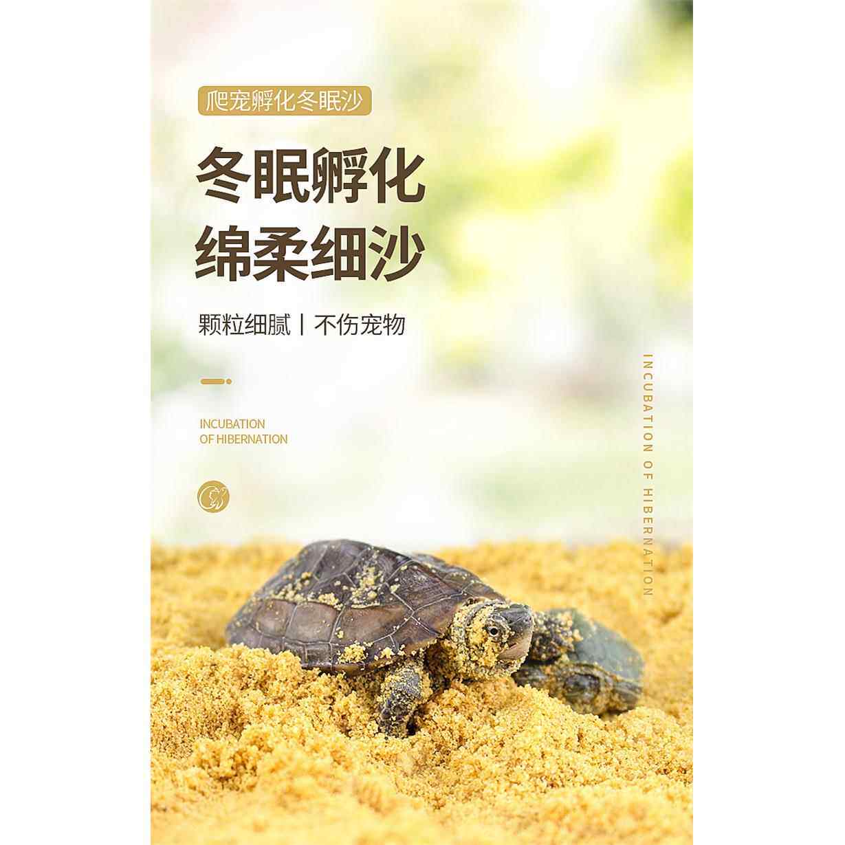 乌龟冬眠细沙下蛋孵化专用天然河沙乌龟用品造景底砂甲鱼爬宠垫材
