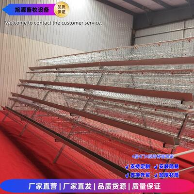 四层四门阶梯蛋鸡笼A型笼镀锌笼网工艺养殖设备养鸡笼