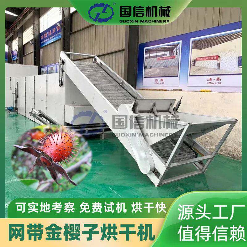 糖罐子黄茶瓶连续烘干机刺梨子山石榴烘干设备网带金樱子烘干机