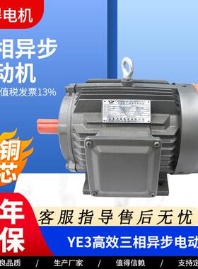 YE3系列全铜卧式YE3-90L-61.1W三相异步电动机机械设备用电机