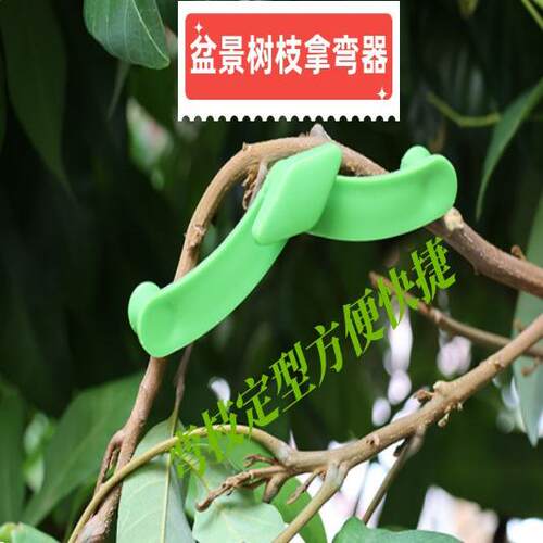 新技术苹果定型定型园艺用品套装