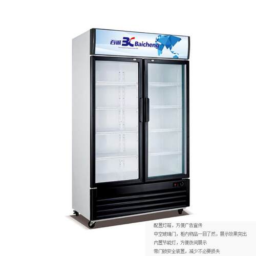 百诚 商用冰箱饮料冷藏展示柜单门大容量立式冰柜保鲜柜双门冷柜