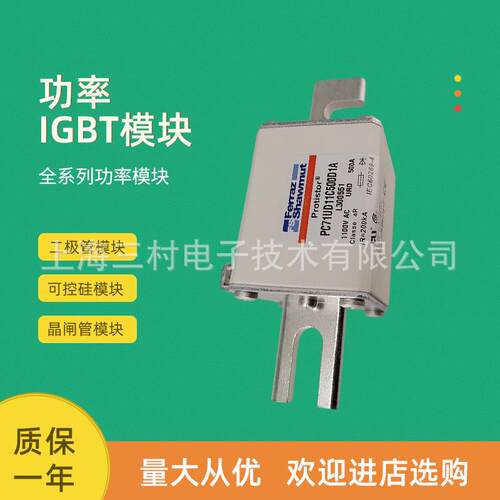 全新熔断器保险丝DN00GB69V40LtW330230 DN00GB69V50LtX330231