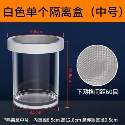 孵化器疯狂水草孔雀繁殖孵化器