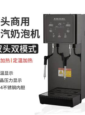 双头蒸汽开水机定温奶泡机商用咖啡店全自动奶茶加热器蒸汽机