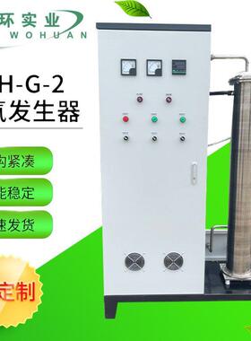 厂家供应wh-g-2臭氧发生器中型氧气源废气污水处理臭氧设备可定