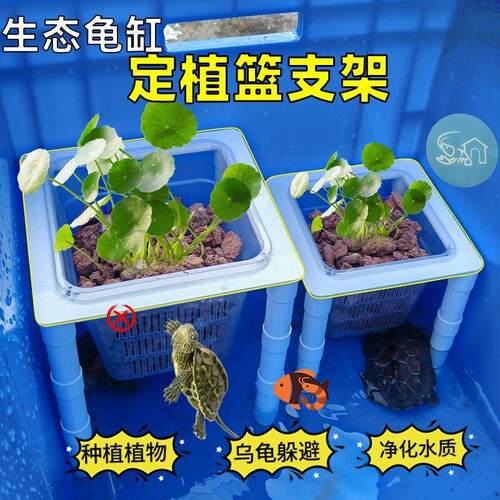 龟缸水培定植篮支架稳固水培植物托架水族绿植固定水培固定蓝支架