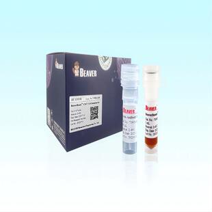 500mL 离心瓶底座