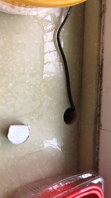 怡口净水器S1怎么样?一周使用讲一讲体验感受