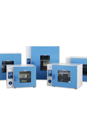 上海 一恒DHG-9140A立式实验室电热鼓风干燥箱 电加热恒温箱 烤箱