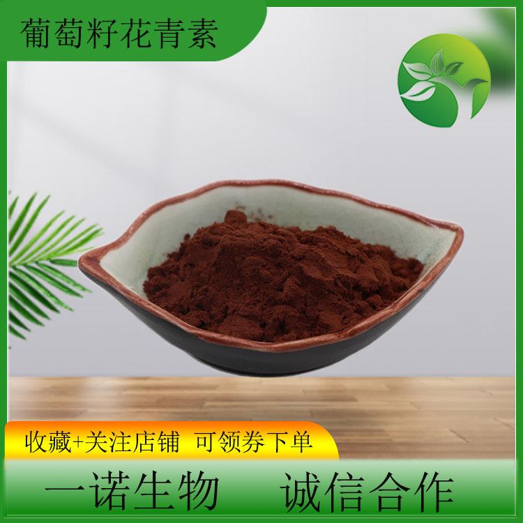 葡萄籽提取物95% 原花青素 OPC低聚原花青素粉现货葡萄籽原花青素
