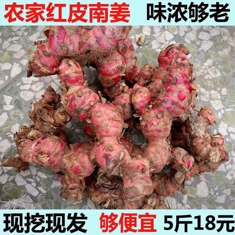 南姜潮汕新鲜包邮 精选山姜牛羊肉火锅卤味去膻提味调料南姜