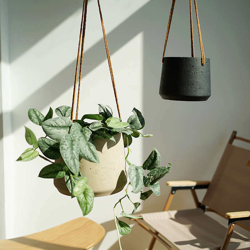 吊盆悬挂式垂吊悬挂植物挂盆挂式吊篮吊挂吊兰植物挂篮花盆悬意赛,鲜花速递/花卉仿真/绿植园艺,花盆,淘宝优惠券,粉丝福利购,淘宝优惠卷