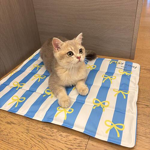 采购产品宠物冰垫，夏季冷却猫垫，防撕裂和咬猫窝，小尺寸狗狗垫
