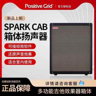 多功能箱体扬声器 电吉他贝斯综合效果器箱体 Spark CAB