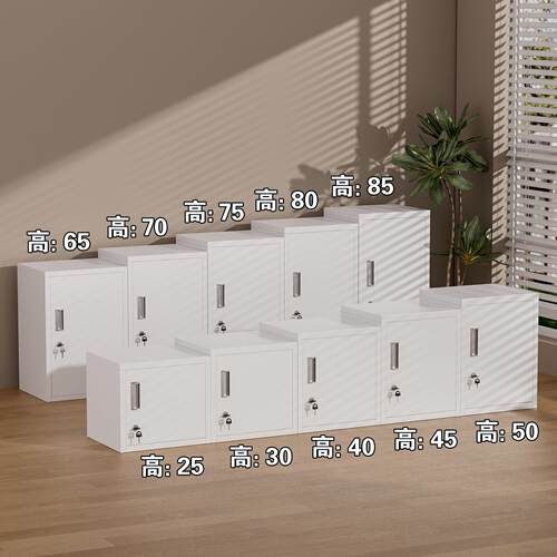 钢制矮柜后厨食品添加剂专用柜餐厅留样柜办公斗柜桌面收纳柜一体