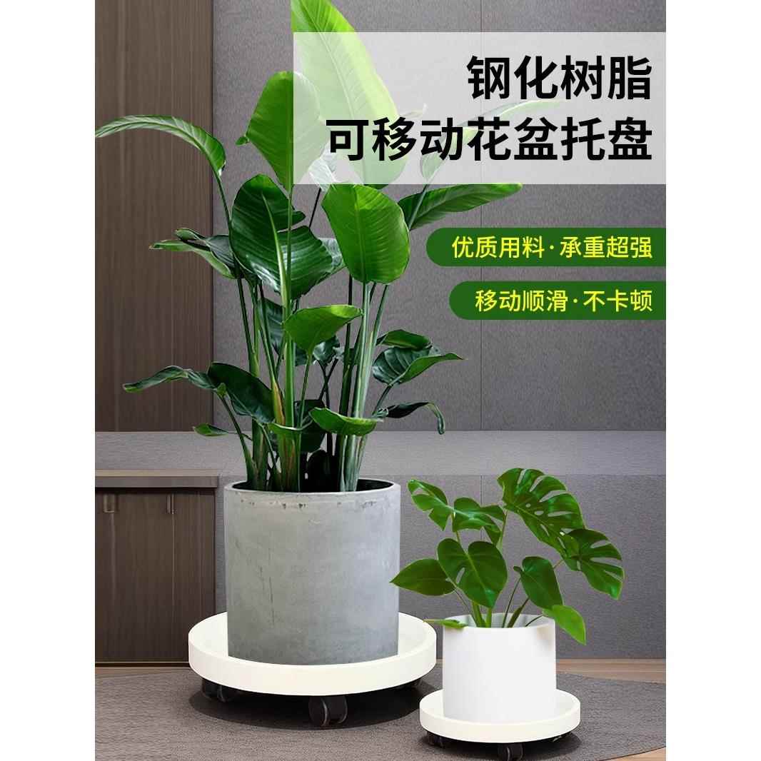 瓶装水储存架移动底座桶架饮用水桶架滑轮矿泉水纯净水托盘架