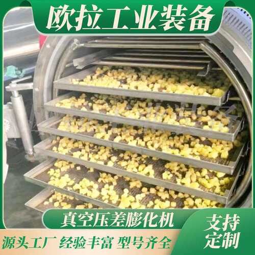 全自动真空果蔬干燥设备 大枣真空膨化罐 胡萝卜脆片真空膨化机