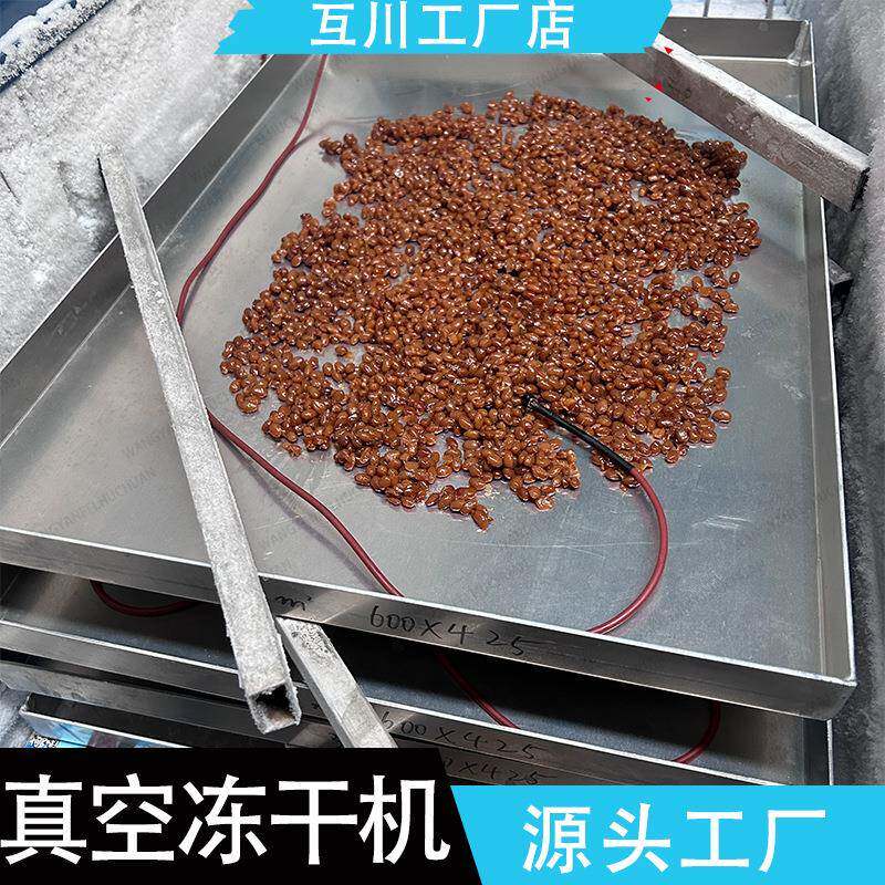 冻干机节能真空冷冻干燥机全自动智能化多样化物料通用冻干设备
