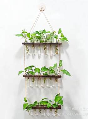 三层六孔挂壁式水培玻璃翻边试管圆底试管绿萝植物插花瓶墙面装饰