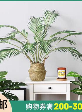北欧彷真绿色植物散尾葵假植物摆件客厅桌面绿植摆设装饰小盆栽