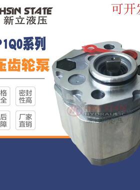 新款齿轮泵BKP1Q0S32G32/S48G0L1-B0L1-B/S58/D80/S11/D齿轮泵BKP