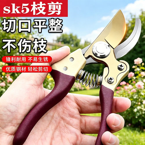 树莓SK修剪树枝果枝花枝修枝剪刀