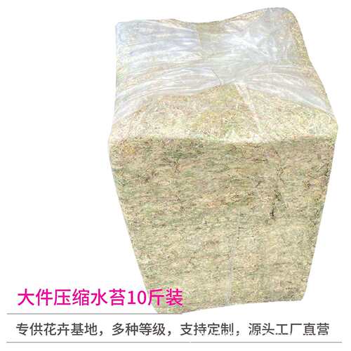 蝴蝶兰基地专用水苔营养土栽培基质大件水苔零售工厂加工