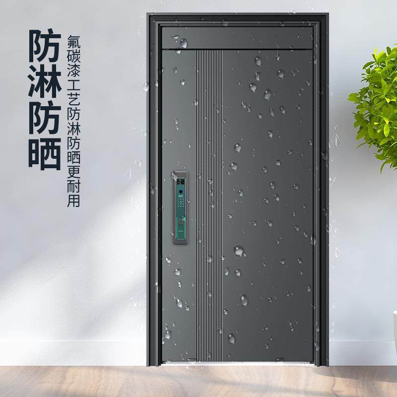 安全防盗门家用进户门入户门子母门平开单门锌合金非标门