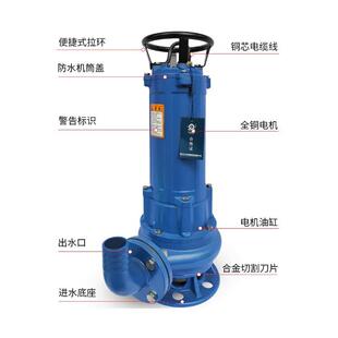 大元切割式污水泵抽粪泥浆380V三相家用养殖场大功率化粪池排污泵