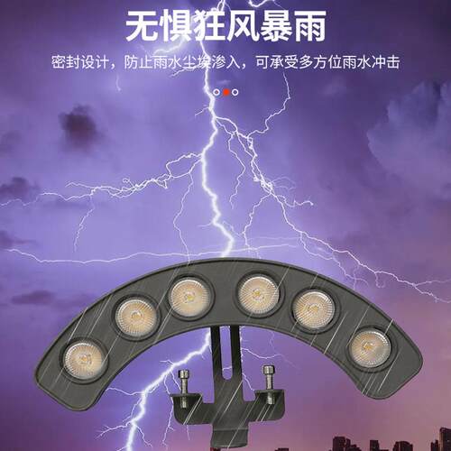 新款直销户外工程LED瓦楞灯中山庭院古楼凉亭瓦片灯景区亮化室外