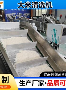 全自动大米清洗机谷物清洗机洗米机洗豆机高粱玉米粒气泡清洗机