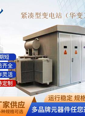 10KV紧凑型箱式变电站华式箱变风电华变风力华变光伏华变中豪
