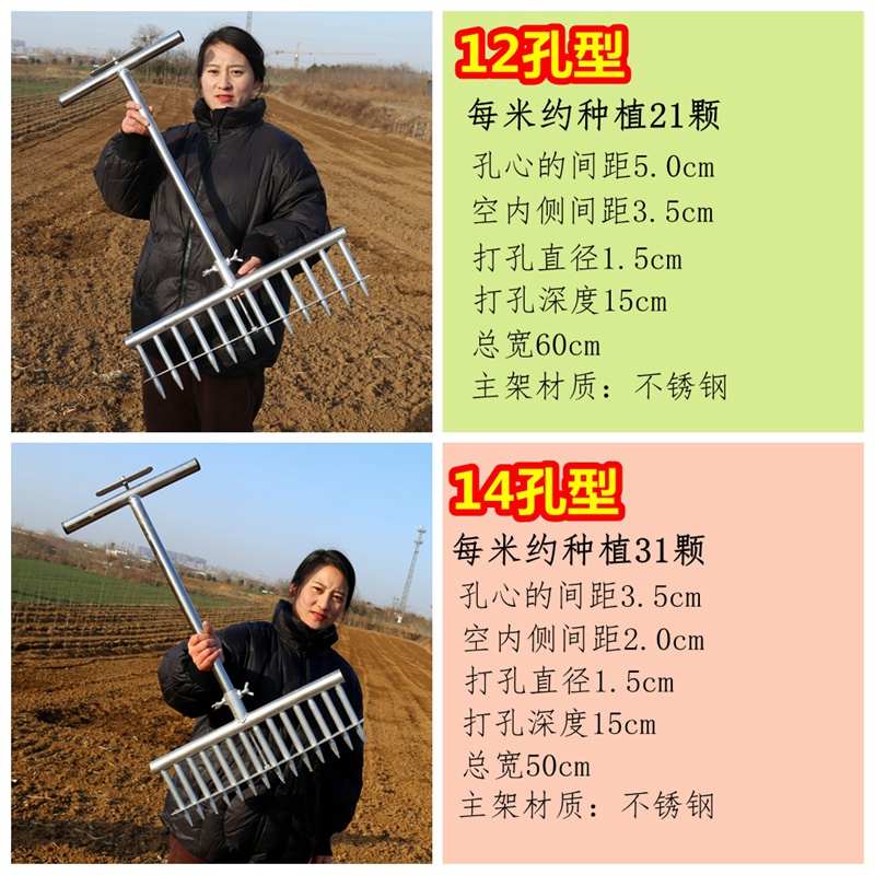 栽葱神器大葱种植工具叉子洋葱打眼打洞机种菜栽苗打孔种葱移苗器