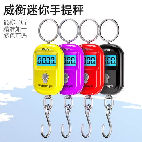 德国精工手提电子秤高精度迷你便捷式家用随身小型称原装正品弹簧