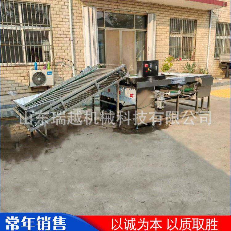 洋葱酸黄瓜分级筛选机商用黄桃苹果分级机大型沃柑滚杠式筛选机