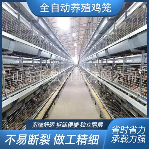 层叠式肉鸡A型笼肉鸡H型笼半自动立体镀锌鸽子笼自动蛋鸡笼鹌鹑笼