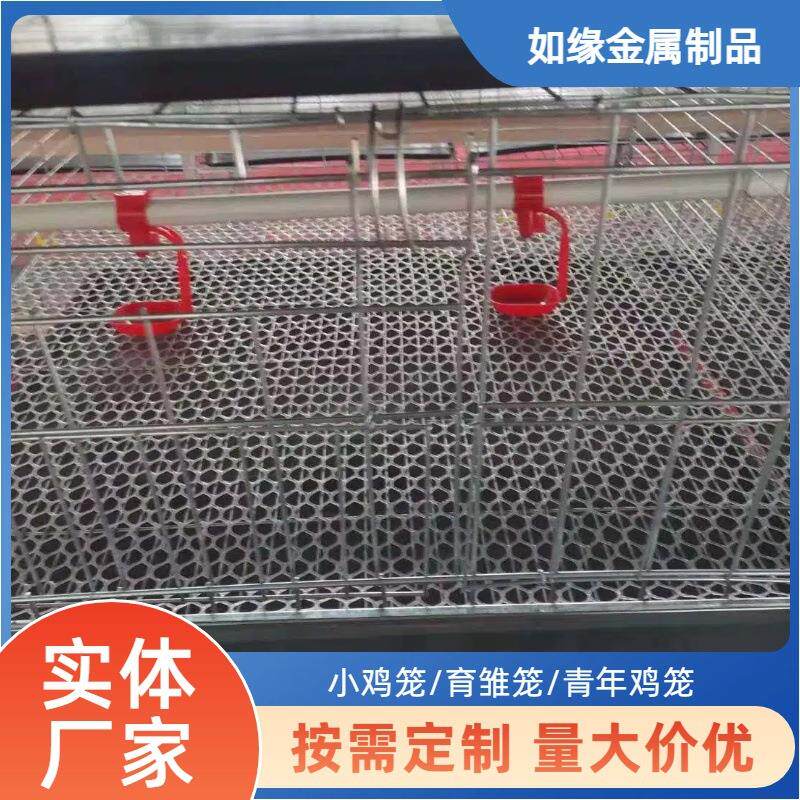 镀锌四层雏鸡笼坚固耐用易清洁家庭农场通用育雏设备鸡舍养鸡笼