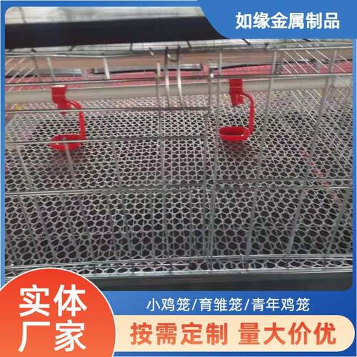 镀锌四层雏鸡笼坚固耐用易清洁家庭农场通用育雏设备鸡舍养鸡笼