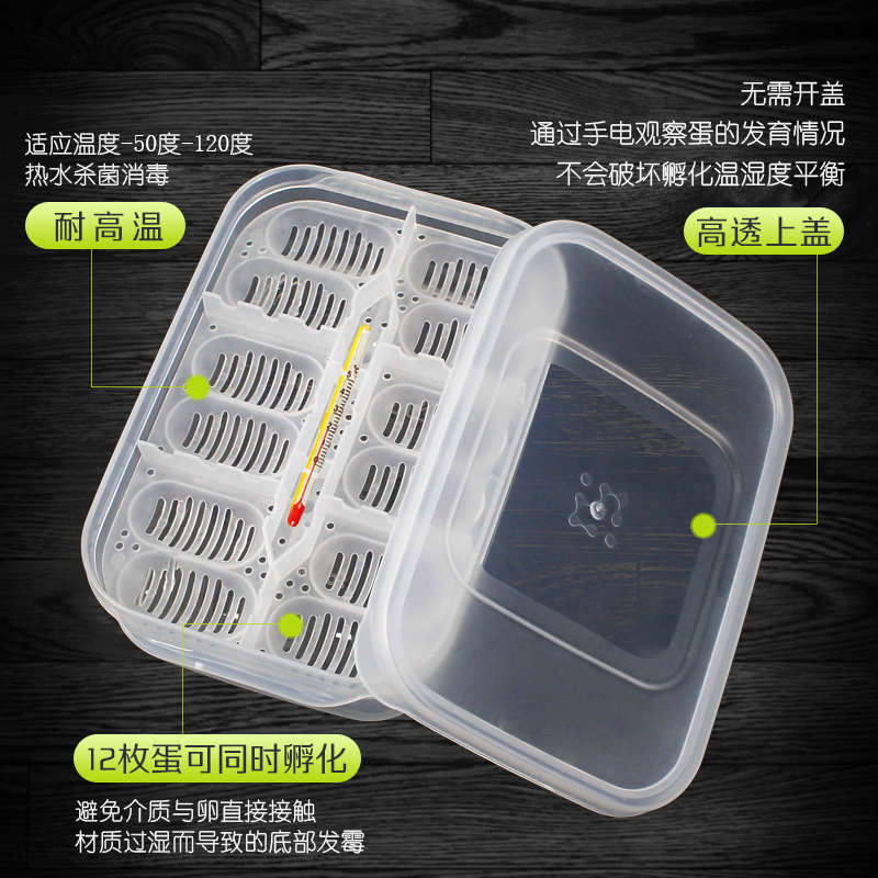 培养独立盒爬宠盒装乌龟龟类蛋位专用孵化蛋器盒子分隔产卵孵盒