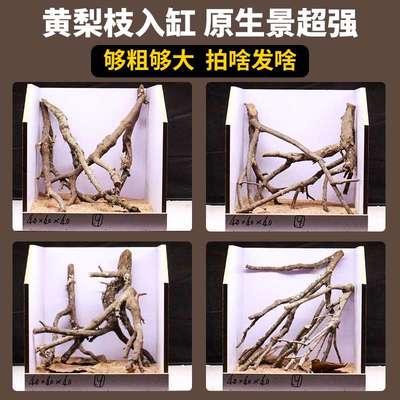 原生南美黄栎枝小鱼缸布景树枝黄梨枝沉木鱼缸造景木倒挂鹿角枯木