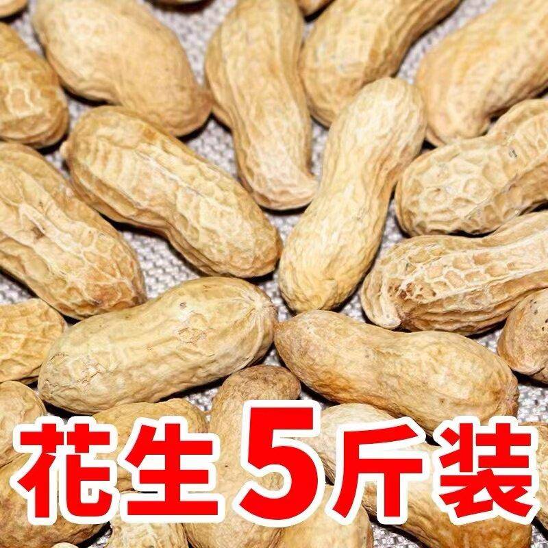 铁锅炒花生带壳原味炒熟新鲜晒干山东大花生炒货干炒蒜香味道美味